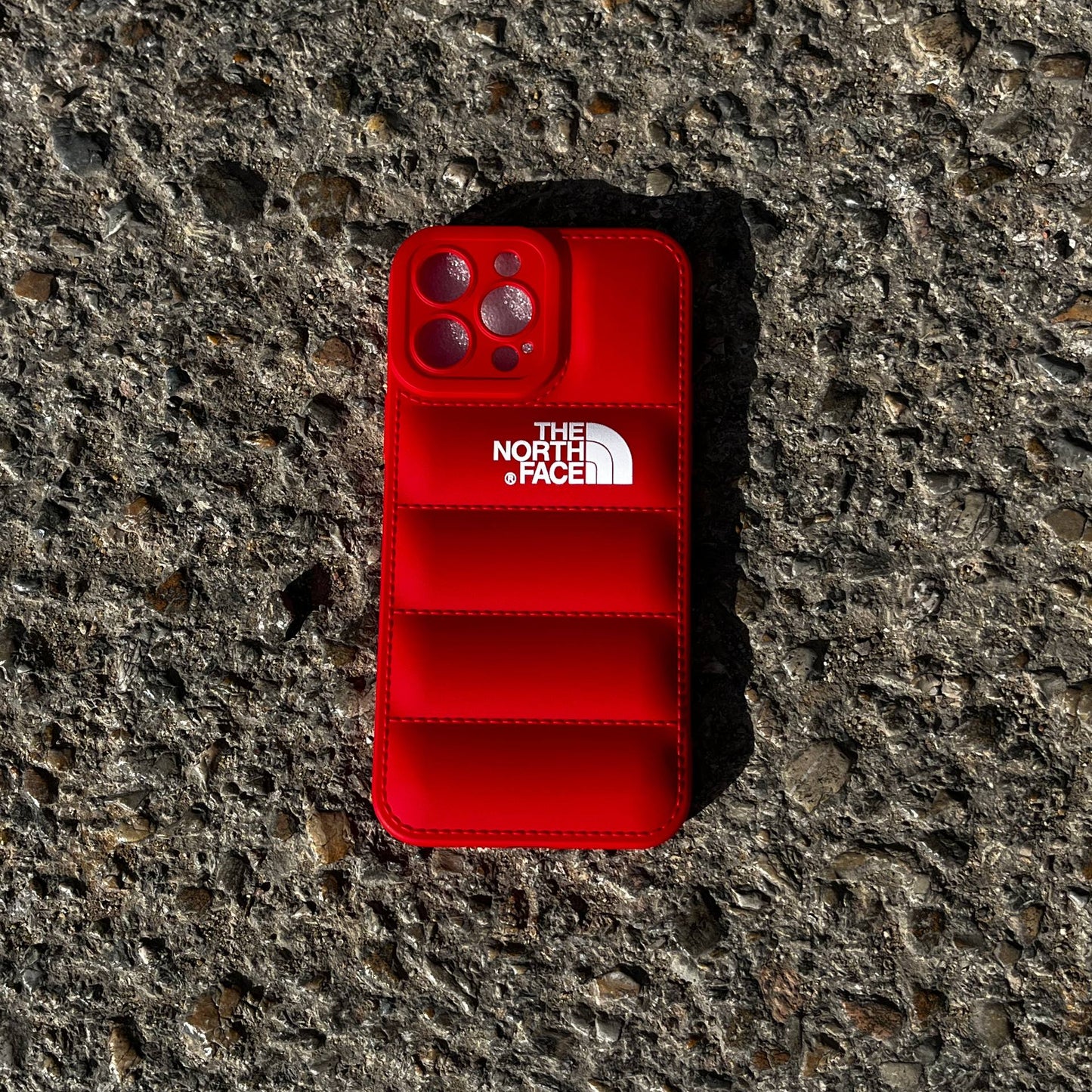 Case THE NORTH FACE  IPhone 13PRO MAX